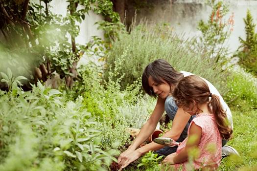 Sensibiliser ses enfants à l'environnement