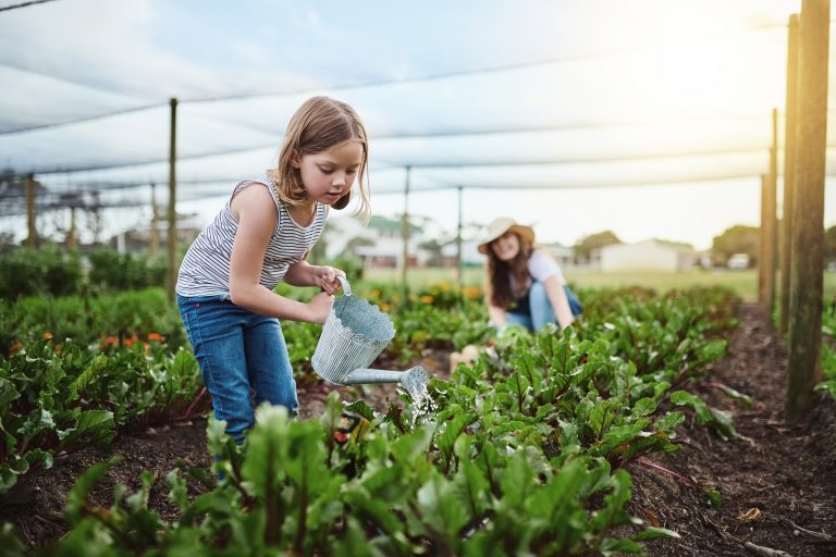 Les bienfaits du jardinage !