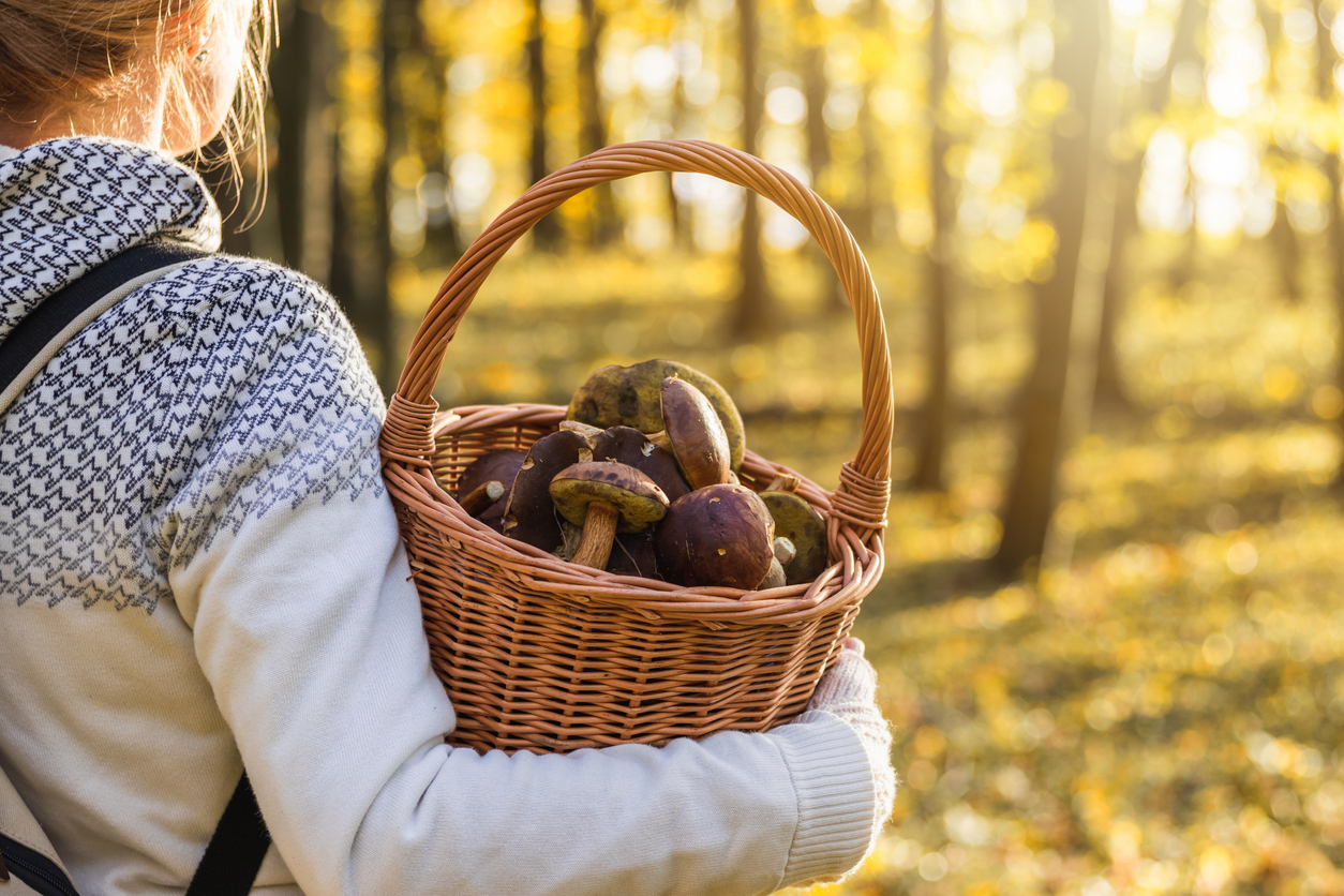 Femme avec un panier de champignons